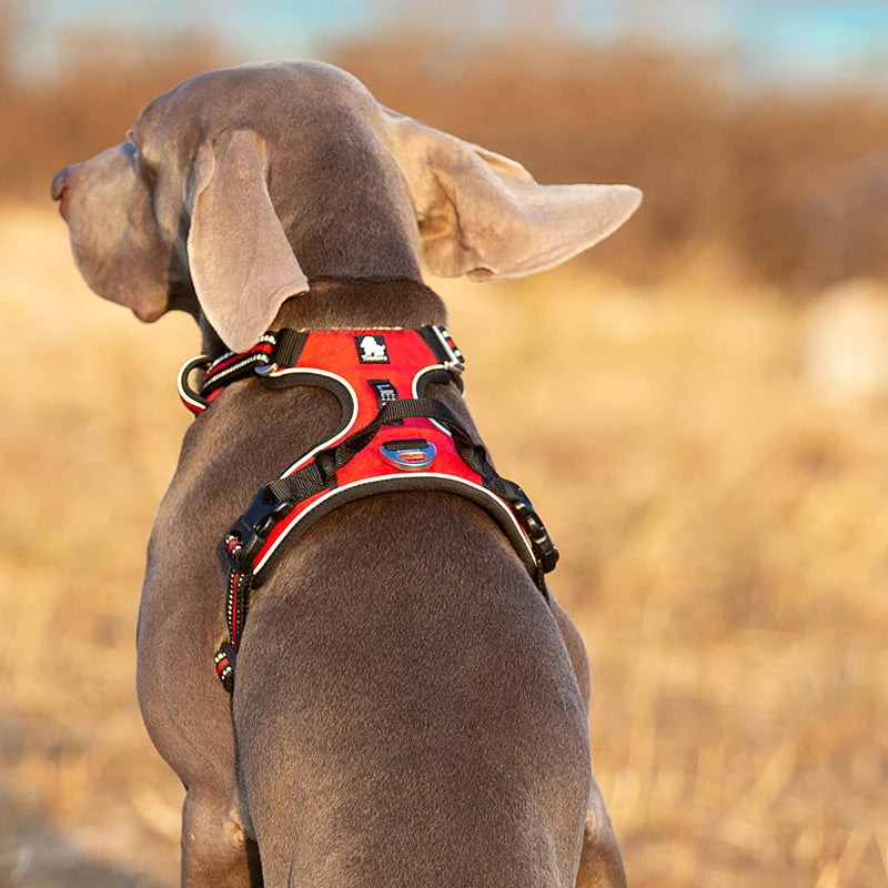 TRUELOVE Reflective Nylon Dog Harness No Pull Adjustable Vest