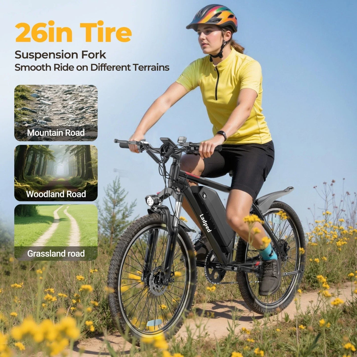 Ladped 750W Electric Mountain Bike Long Range All Terrain