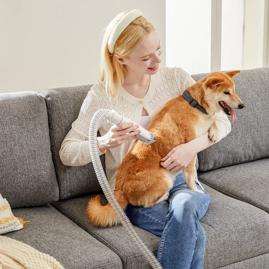 Professional Pet Grooming Vacuum Kit With Cordless Clippers