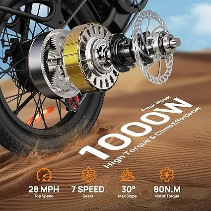 URLIFE 1000W Fat Tire Electric Bike With Dual Disc Brakes