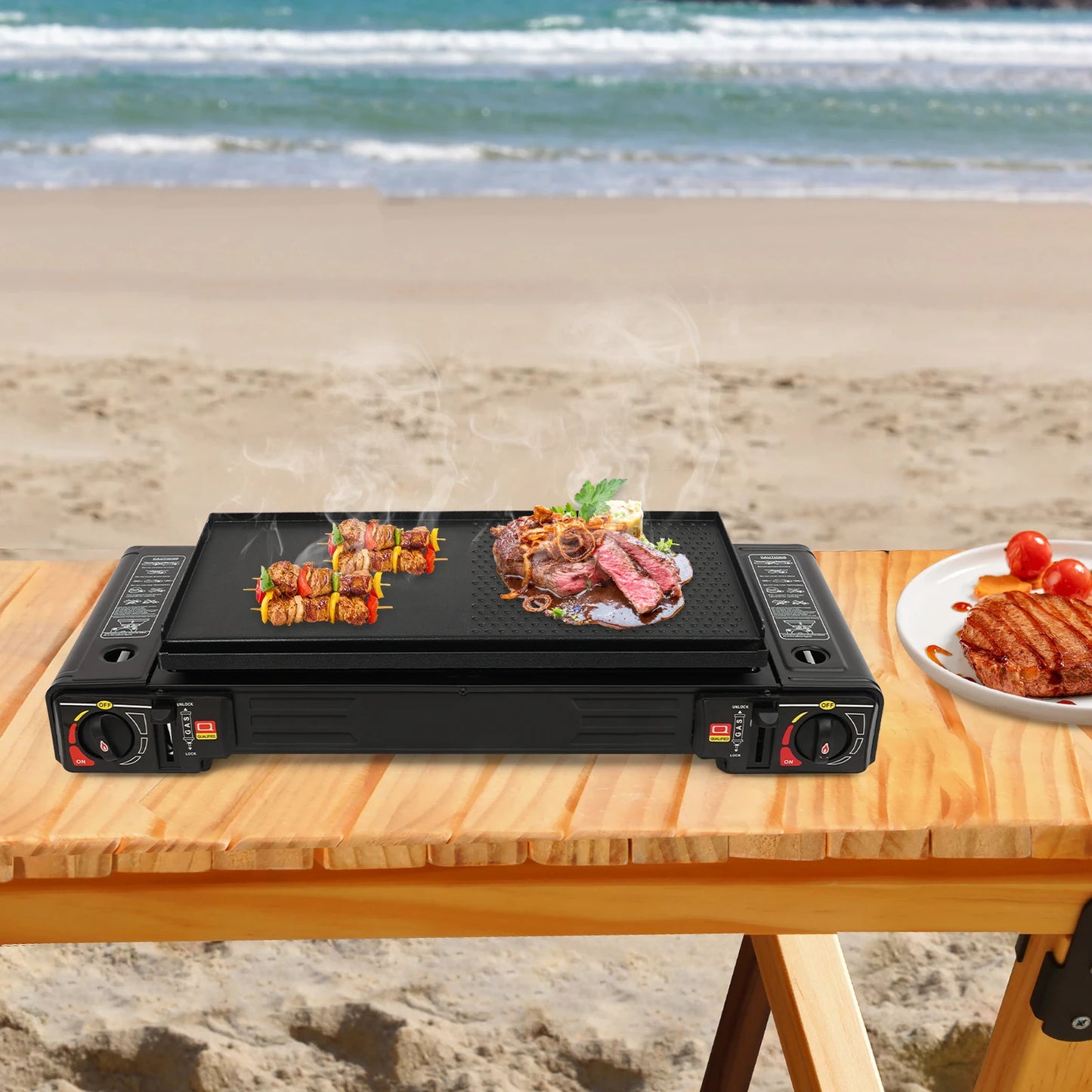 2 Burner 2500W Portable Camping Stove with Baking Tray Case