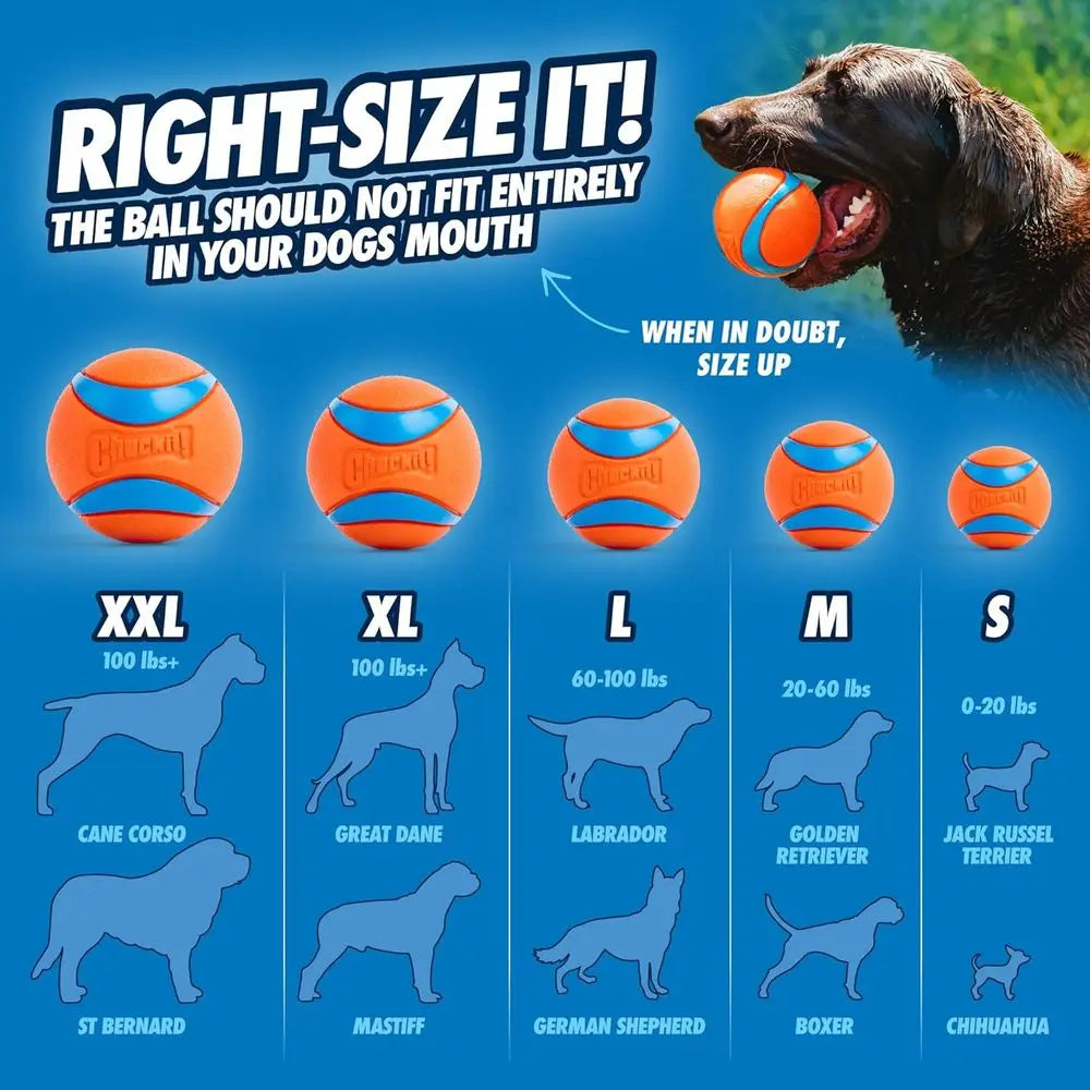 Ultra Ball Dog Toy Durable Rubber Bouncy Floats In Water