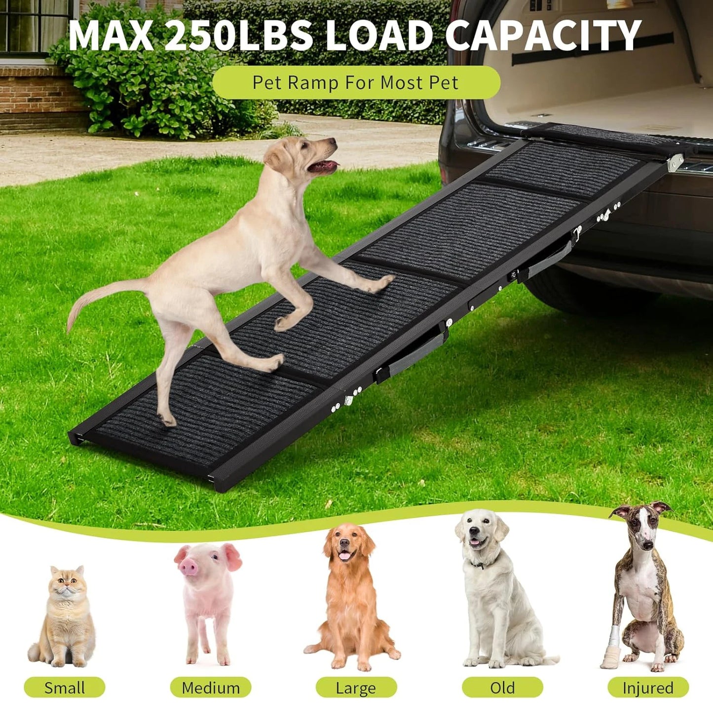 HiMISS Upgraded Folding Car Ramp For Large Dogs With Non Slip Surface