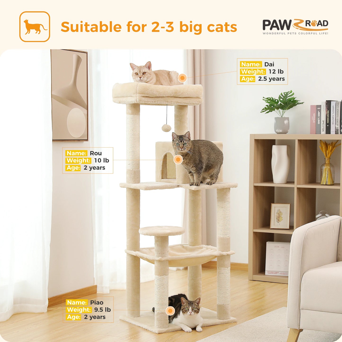 PAWZ Road Cat Tree Indoor Five Level Large Cat Tower